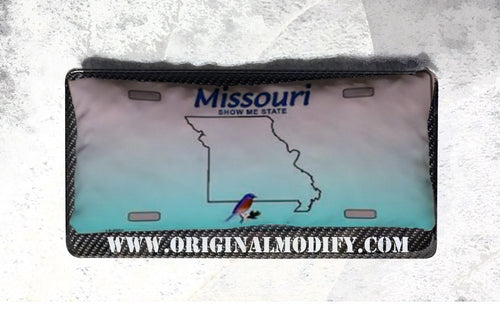 MISSOURI