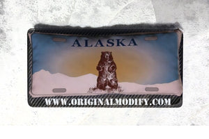 ALASKA-1