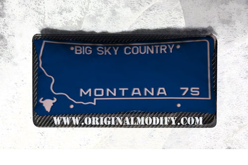 MONTANA-1