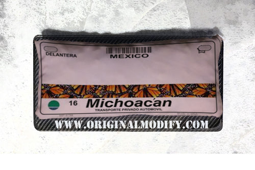 MICHOACAN-1